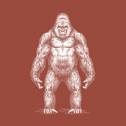 Свитшот хлопковый мужской Конг, цвет: кирпичный — фото 2