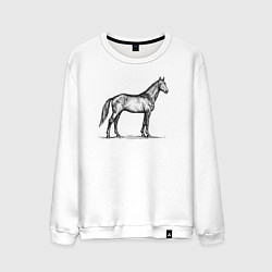 Свитшот хлопковый мужской Лошадь в профиль, цвет: белый