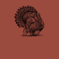 Свитшот хлопковый мужской Индейка домашняя, цвет: кирпичный — фото 2