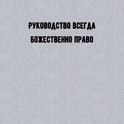 Свитшот хлопковый мужской Руководство божественно право, цвет: меланж — фото 2