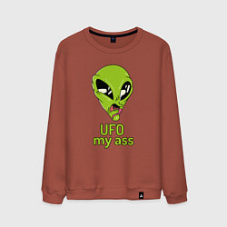 Свитшот хлопковый мужской Зеленый пришелец НЛО с надписью UFO my ass, цвет: кирпичный
