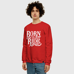 Свитшот хлопковый мужской Born to ride - рожденный ездить, цвет: красный — фото 2