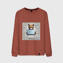 Свитшот хлопковый мужской Кот программист за ноутбуком, цвет: кирпичный