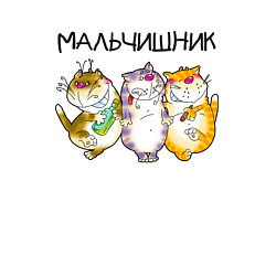 Свитшот хлопковый мужской Мальчишник полосатые коты, цвет: белый — фото 2