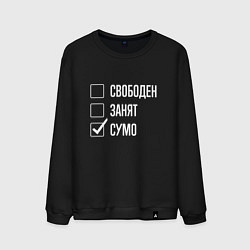 Свитшот хлопковый мужской Свободен занят сумо, цвет: черный