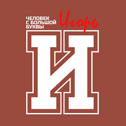 Свитшот хлопковый мужской Игорь - человек с большой буквы, цвет: кирпичный — фото 2