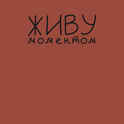 Свитшот хлопковый мужской Живу моментом, цвет: кирпичный — фото 2