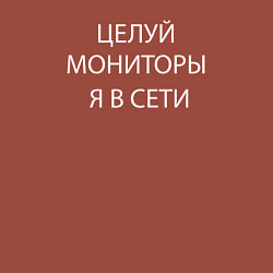 Свитшот хлопковый мужской Целуй мониторы я в сети, цвет: кирпичный — фото 2