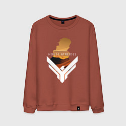 Свитшот хлопковый мужской House Arteides - Dune, цвет: кирпичный