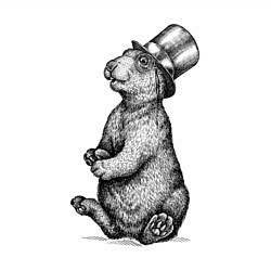 Свитшот хлопковый мужской Заяц в цилиндре, цвет: белый — фото 2