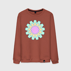 Мужской свитшот Круговые фигуры