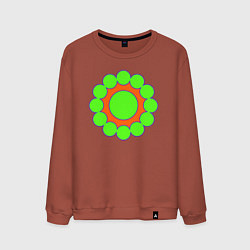 Свитшот хлопковый мужской Окружности по кругу, цвет: кирпичный