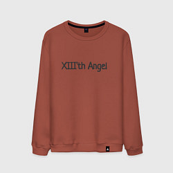 Свитшот хлопковый мужской XIIIth angel, цвет: кирпичный