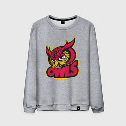 Свитшот хлопковый мужской Team owls, цвет: меланж
