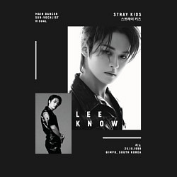 Свитшот хлопковый мужской Stray kids Lee Know, цвет: черный — фото 2