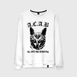 Свитшот хлопковый мужской All cats are beautiful, цвет: белый