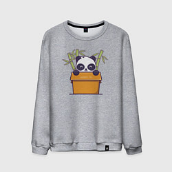 Свитшот хлопковый мужской Панда в коробке, цвет: меланж