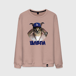 Свитшот хлопковый мужской Шлепа на стиле, цвет: пыльно-розовый