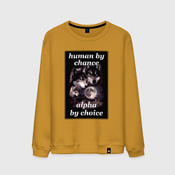 Свитшот хлопковый мужской Human by chance, alpha by choice, цвет: горчичный