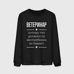 Свитшот хлопковый мужской Ветеринар волшебник, цвет: черный