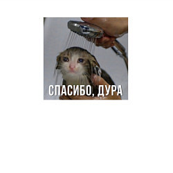 Свитшот хлопковый мужской Котик под душем спасибо дура, цвет: белый — фото 2