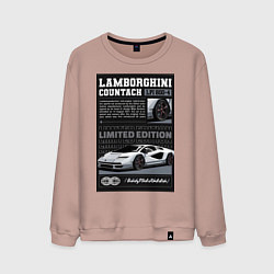 Свитшот хлопковый мужской Lamborghini countach, цвет: пыльно-розовый