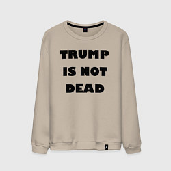 Свитшот хлопковый мужской Trump is not dead - motto, цвет: миндальный