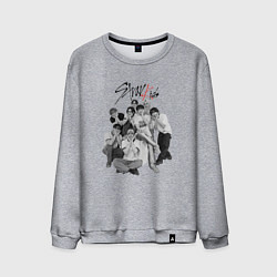 Мужской свитшот Stray Kids 6th Anniversary