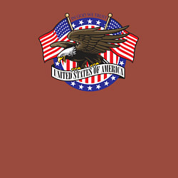 Свитшот хлопковый мужской United States of America, цвет: кирпичный — фото 2
