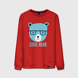Свитшот хлопковый мужской Крутой мишка, цвет: красный