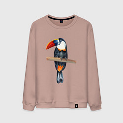 Свитшот хлопковый мужской Тукан на толстой ветке, цвет: пыльно-розовый