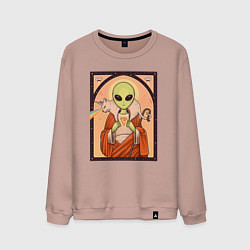 Свитшот хлопковый мужской Пришелец и кот-единорог, цвет: пыльно-розовый