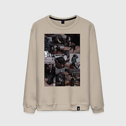 Свитшот хлопковый мужской Конный спорт коллаж, цвет: миндальный