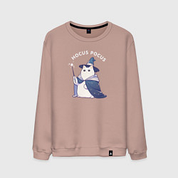 Свитшот хлопковый мужской Волшебник кот фокус-покус, цвет: пыльно-розовый
