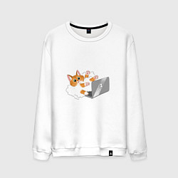 Свитшот хлопковый мужской Милый котик программист усердно печатает, цвет: белый
