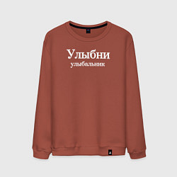 Свитшот хлопковый мужской Улыбни улыбальник, цвет: кирпичный