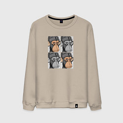 Свитшот хлопковый мужской Four monkeys, цвет: миндальный