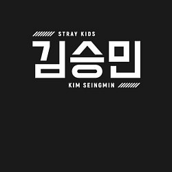 Свитшот хлопковый мужской Ким Сынмин stray kids, цвет: черный — фото 2