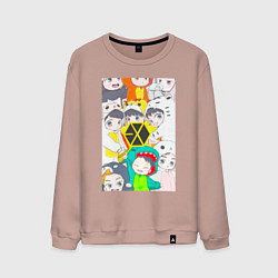 Свитшот хлопковый мужской Exo в костюмах животных, цвет: пыльно-розовый