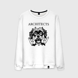 Мужской свитшот Architects - rock dog