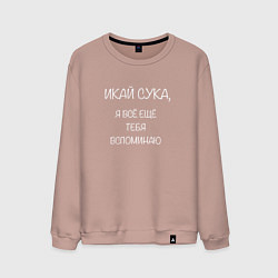Свитшот хлопковый мужской Икай сука, цвет: пыльно-розовый