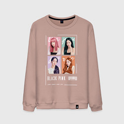 Свитшот хлопковый мужской Blackpink 4 colors, цвет: пыльно-розовый