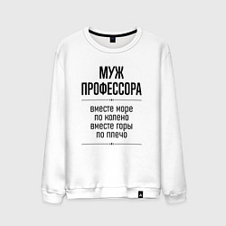 Мужской свитшот Муж профессора море по колено