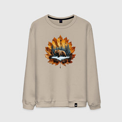 Свитшот хлопковый мужской Медведь на кленовом листе, цвет: миндальный