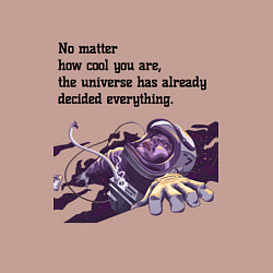 Свитшот хлопковый мужской Вселенная уже всё решила, цвет: пыльно-розовый — фото 2