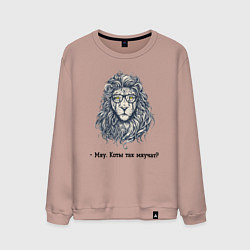 Мужской свитшот Приручение льва