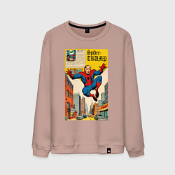 Свитшот хлопковый мужской Spider-Trump superhero, цвет: пыльно-розовый