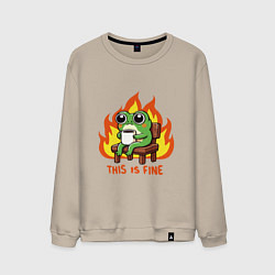 Мужской свитшот Frog - this is fine