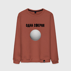 Свитшот хлопковый мужской Одна сферня, цвет: кирпичный