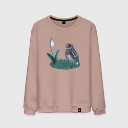Свитшот хлопковый мужской Сова и подснежник, цвет: пыльно-розовый